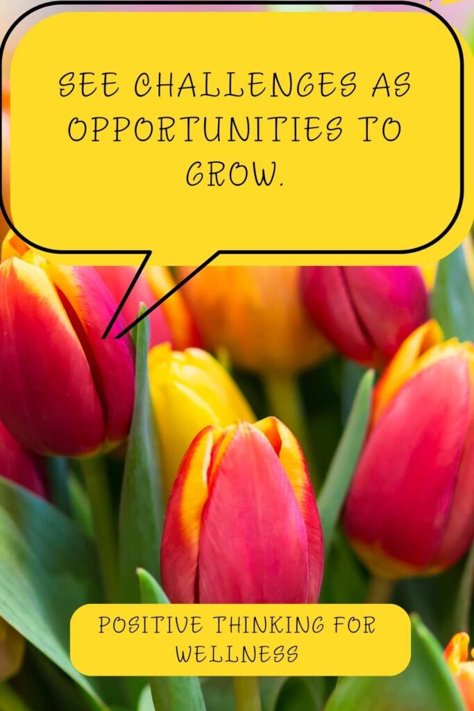 See challenges as opportunities to grow.