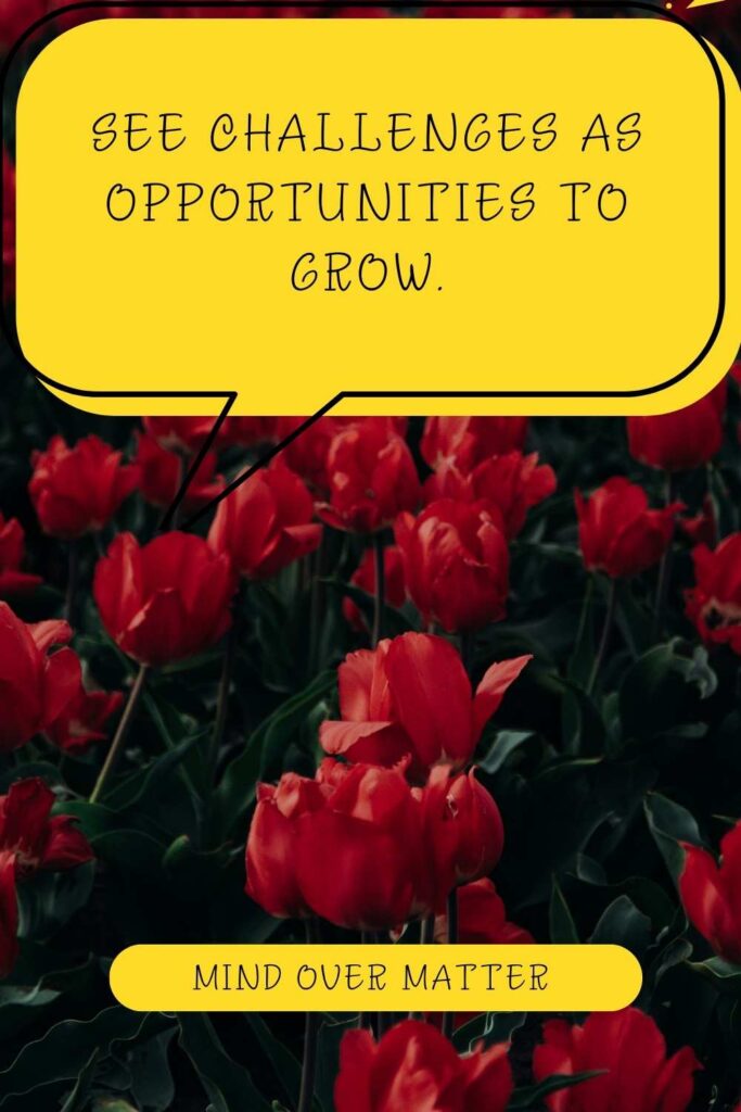 See challenges as opportunities to grow.